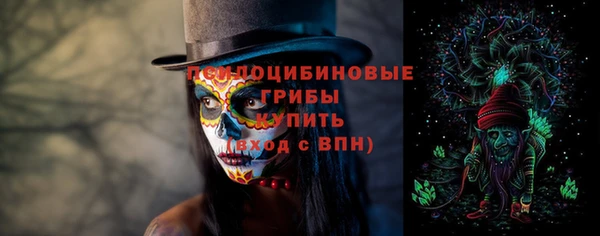 спайс Аркадак