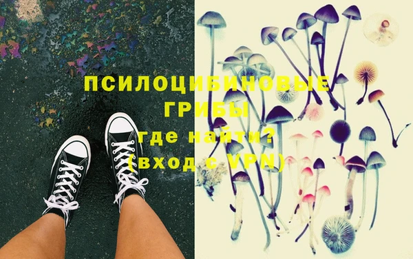 хмурый Армянск
